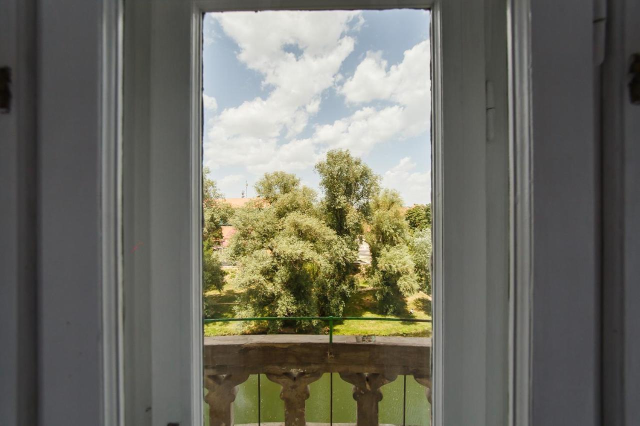 Spacious Riverviews Near Piata Unirii Apartment Oradea